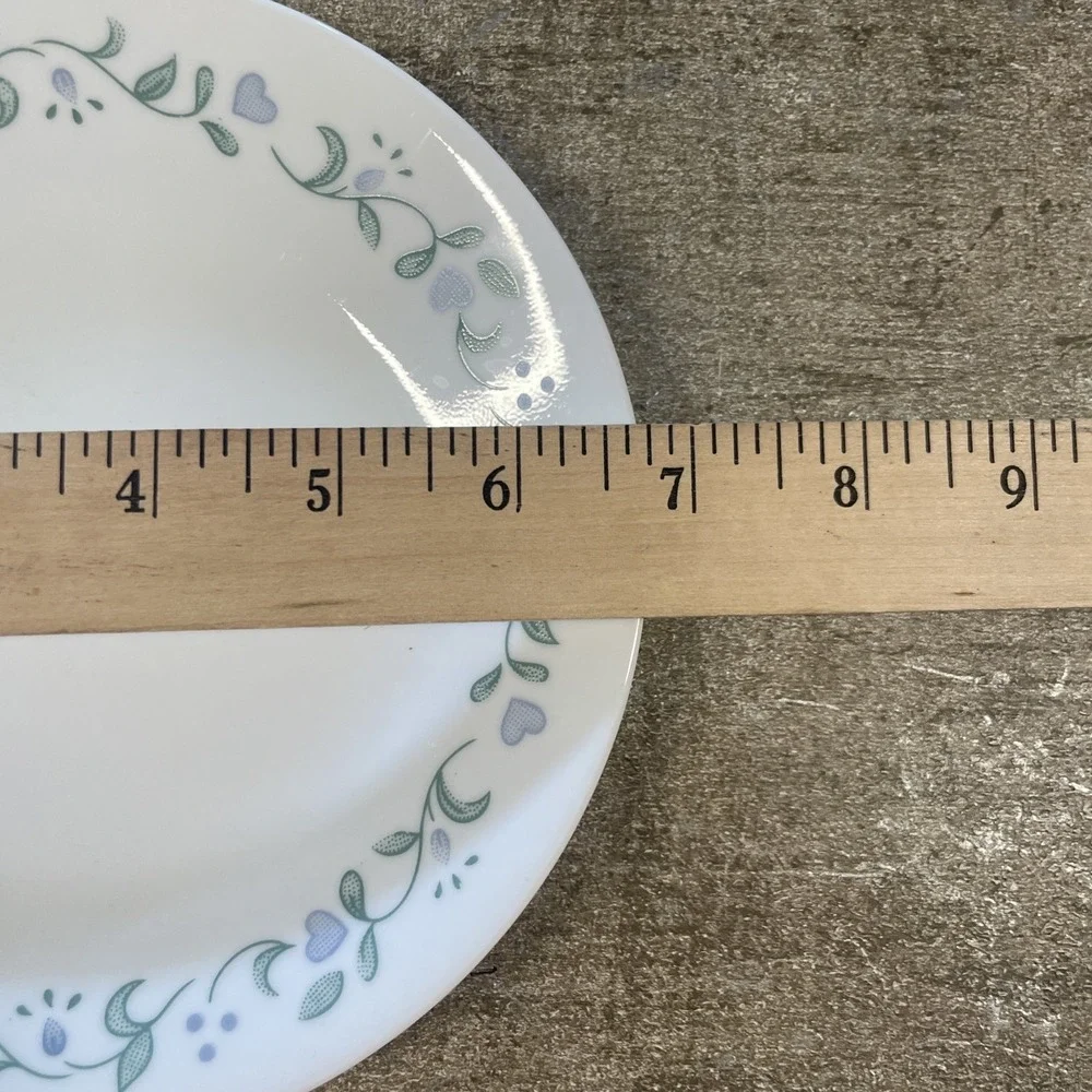 Set‎ Of 2 Corelle Country Cottage Desert Plates- 6.75